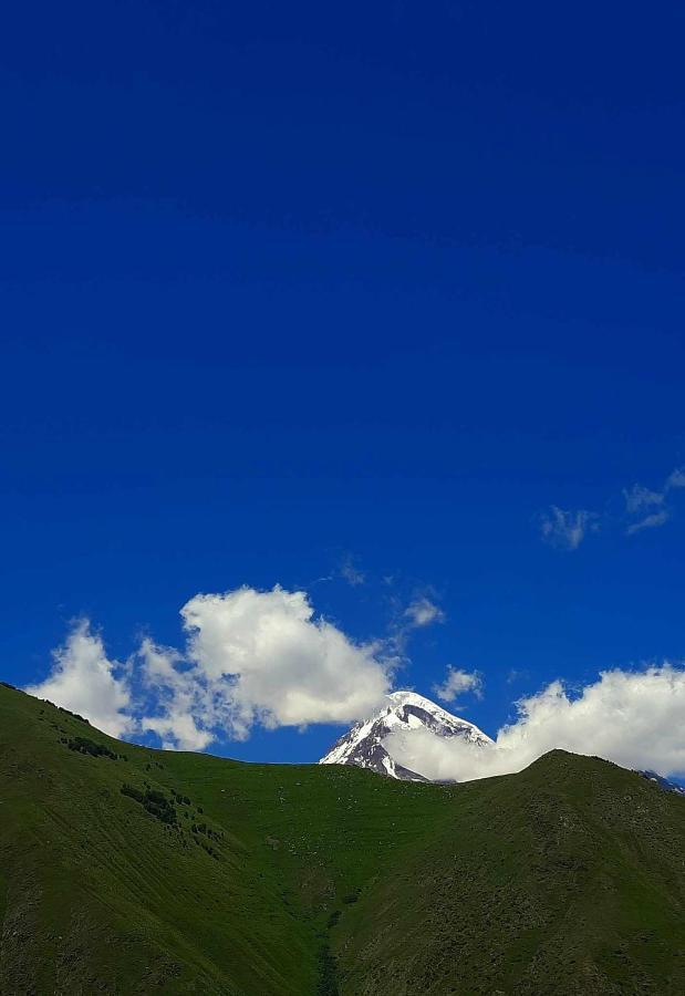 Ferienwohnung Trip Zone Kazbegi Exterior foto