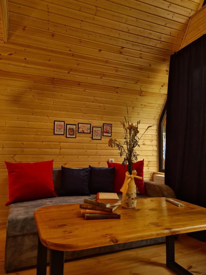 Ferienwohnung Trip Zone Kazbegi Exterior foto
